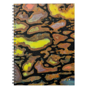 Caderno Espiral Osso de Dinossauro Multicolorido