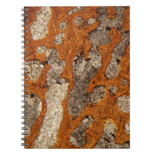 Caderno Espiral Osso de dinossauro sob o microscópio
