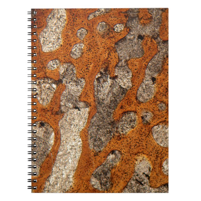 Caderno Espiral Osso de dinossauro sob o microscópio (Frente)