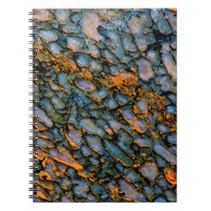 Caderno Espiral Osso do Dinossauro Petrificado