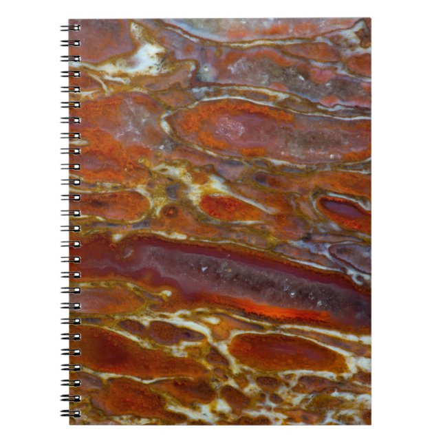 Caderno Espiral Osso Petrificado de Dinossauro (Frente)