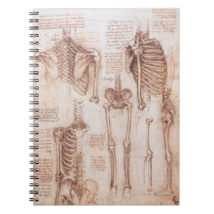 Caderno Espiral Ossos do Esqueleto da Anatomia Humana de Leonardo 