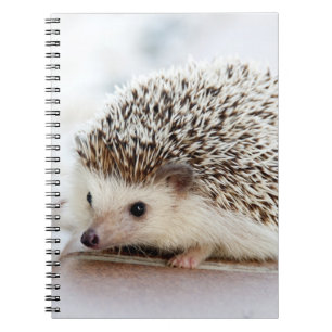 Caderno Espiral Ouriço bonito do bebê