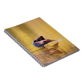 Caderno Espiral Ouro