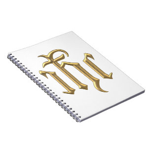 Caderno Espiral Ouro "3-D" IHC