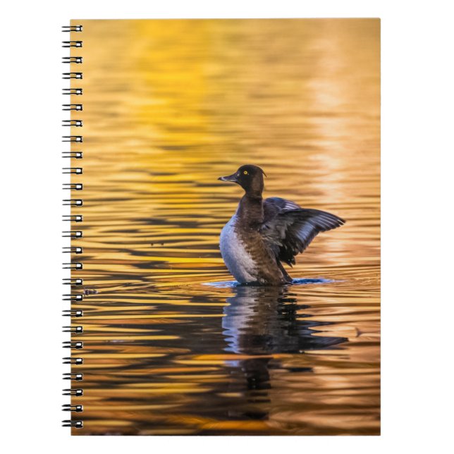 Caderno Espiral Ouro de um lago ouro (Frente)