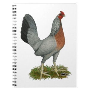 Caderno Espiral Ouro Duckwing Hen