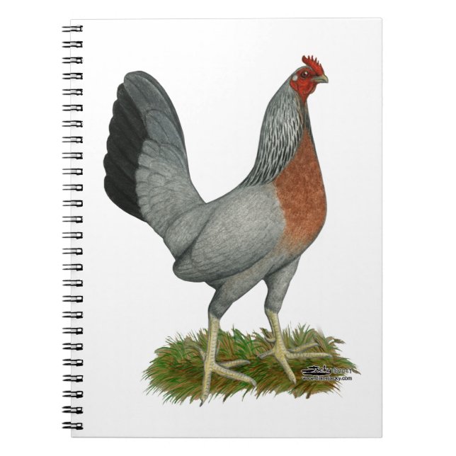 Caderno Espiral Ouro Duckwing Hen (Frente)