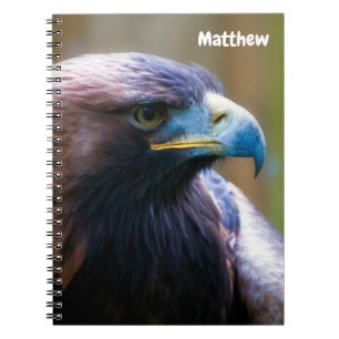 Caderno Espiral Ouro Eagle Spiral notebook