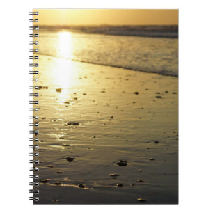 Caderno Espiral Ouro Glassy Sand