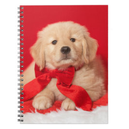 Caderno Espiral Ouro Natal Arco Vermelho