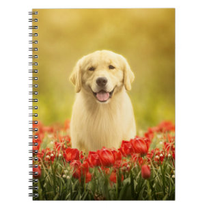 Caderno Espiral Ouro para sempre nas flores vermelhas