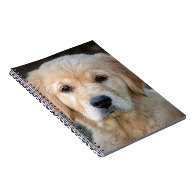 Caderno Espiral Ouro Retriever Puppy (Lado Direito)