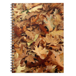Caderno Espiral outono, folhas secas
