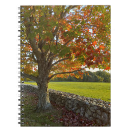 Caderno Espiral Outono no Stone Wall Spiral Notebook