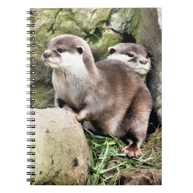 CADERNO ESPIRAL OUTROS (Frente)