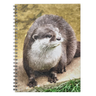 CADERNO ESPIRAL OUTROS