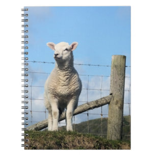 CADERNO ESPIRAL OVINO DE BOVINO