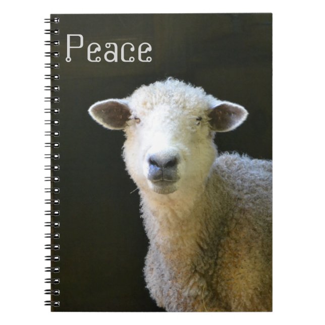 Caderno Espiral Ovinos Pacíficos (Frente)