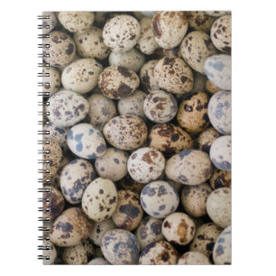 Caderno Espiral Ovos de Codorna, Huaraz, Cordillera Blanca, Ancash