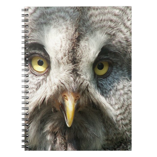 Caderno Espiral Owl Notebok (Frente)