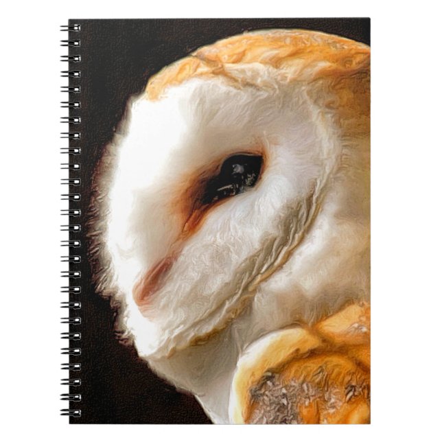 CADERNO ESPIRAL OWLS (Frente)