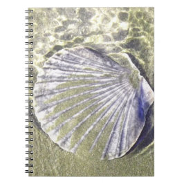 Caderno Espiral Oyster Shell Embaixo da Água