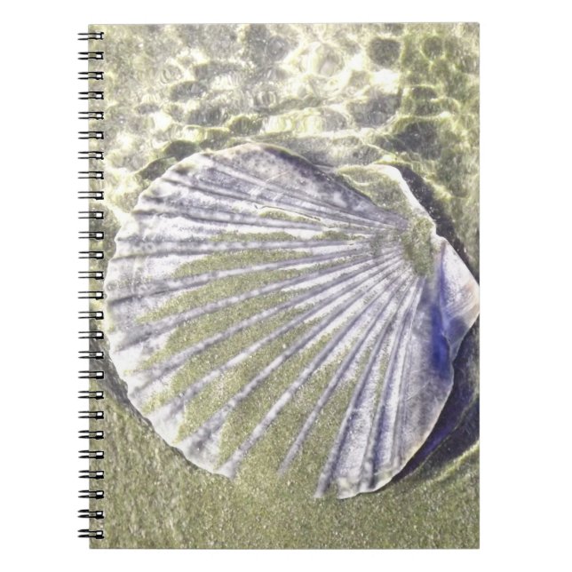 Caderno Espiral Oyster Shell Embaixo da Água (Frente)