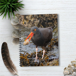 Caderno Espiral Oystercatcher Negro impressionante com Clam