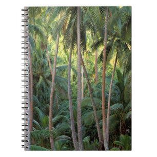 Caderno Espiral Pacífico Sul, Polinésia Francesa, Bora Bora.