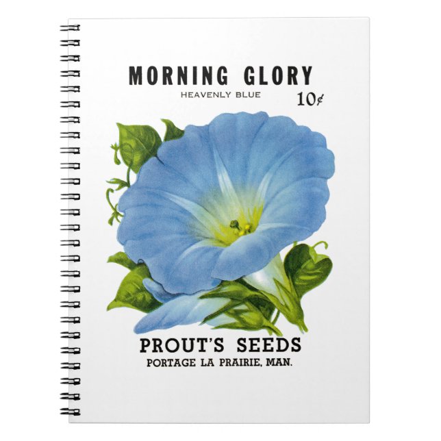 Caderno Espiral Pacote de Semente da Glória da Manhã (Frente)
