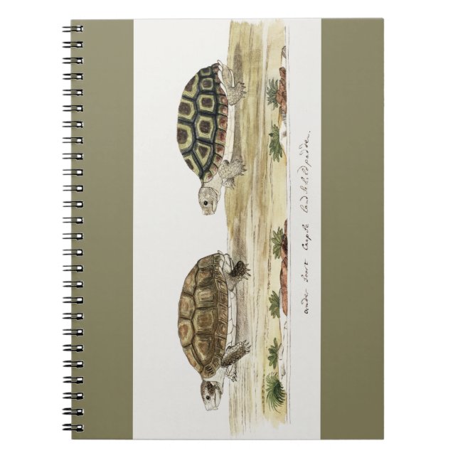 Caderno Espiral Padloper Tortoise (Frente)