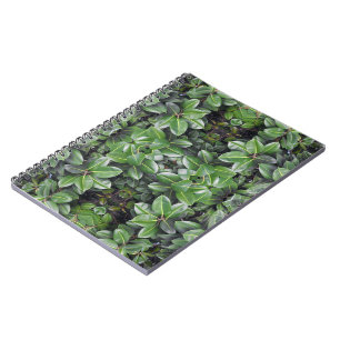 Caderno Espiral Padrão de Folha de Árvore de Borracha