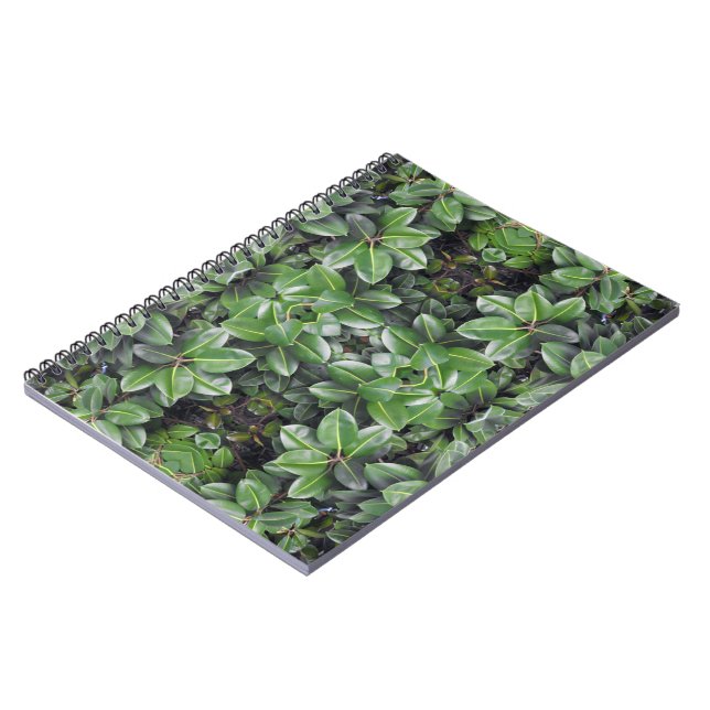 Caderno Espiral Padrão de Folha de Árvore de Borracha (Left Side)
