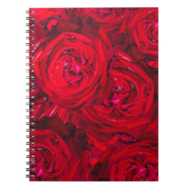 Caderno Espiral Padrão de rosas vermelhas profundas