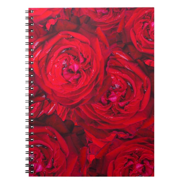 Caderno Espiral Padrão de rosas vermelhas profundas (Frente)