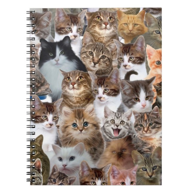 Caderno Espiral Padrão do Cat Faces (Frente)