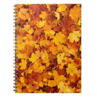 Caderno Espiral Padrão Folha de Bordo-25877