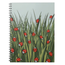 Padrão Ladybug ladybird