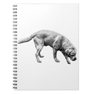 Caderno Espiral Páginas de Devoção