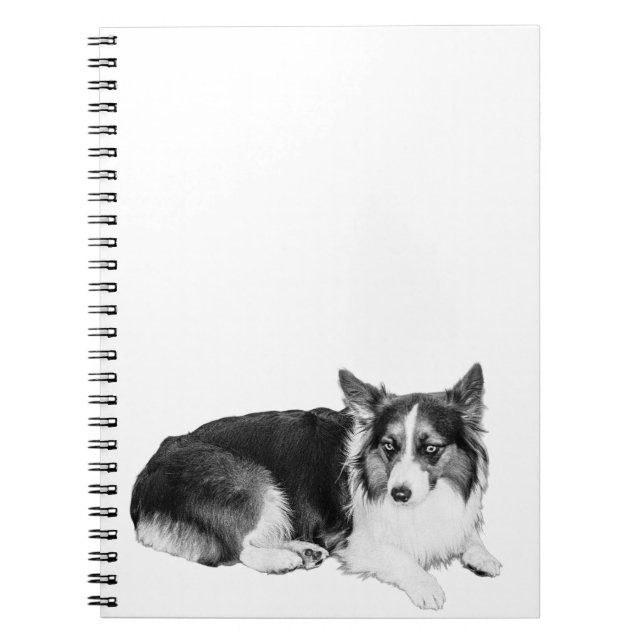 Caderno Espiral Páginas de Estilidade (Frente)