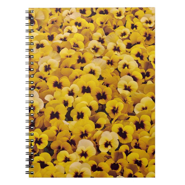 Caderno Espiral Painéis Amarelos (Frente)