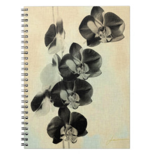 Caderno Espiral Painéis de Blush Orchid III