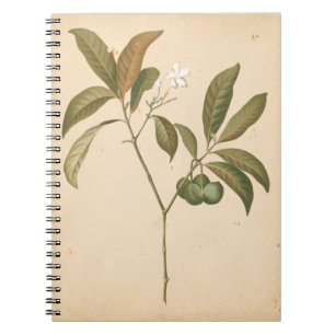 Caderno Espiral Painel I do Deco do Cobalto