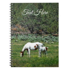 Caderno Espiral Paint Horse Mare and Foal Personalizado