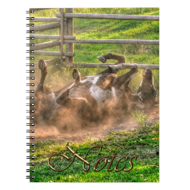 Caderno Espiral Paint Horse Rolling in Dust Funny Photo (Frente)