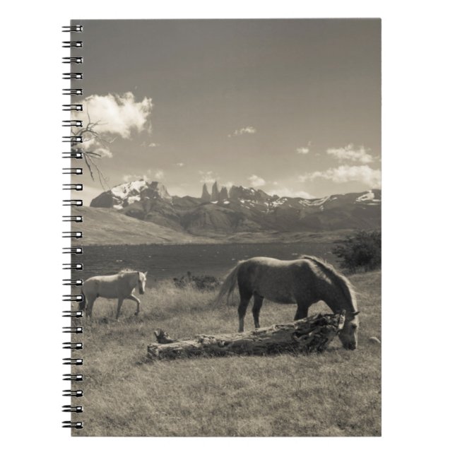 Caderno Espiral Paisagem com cavalos (Frente)