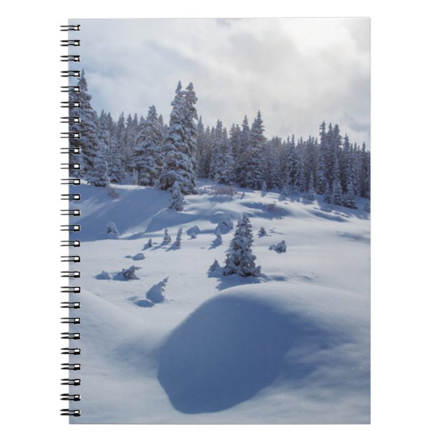 Caderno Espiral Paisagem de Neve (Frente)