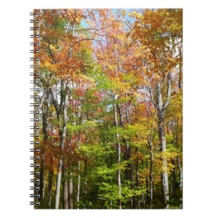 Caderno Espiral Paisagem de outono de Floresta II