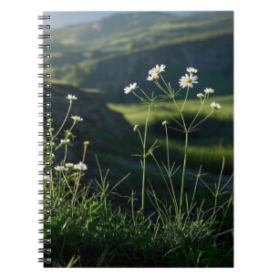 Caderno Espiral Paisagem Natural de Margarida Branca Floral